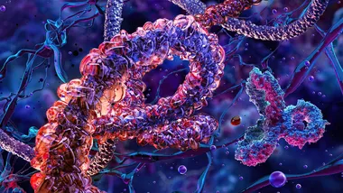 Зображення scitechdaily.com