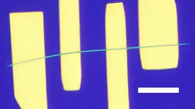 Зображення phys.org