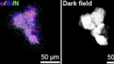 Зображення Phys
