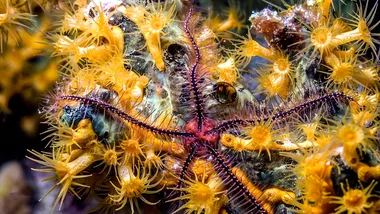 Зображення SciTechDaily