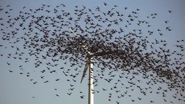 Зображення Watts Up With That？