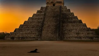 Зображення theyucatantimes.com