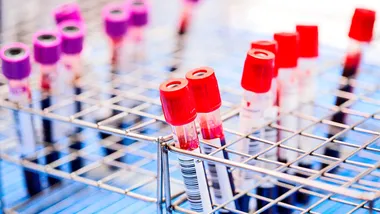 Зображення Futurity