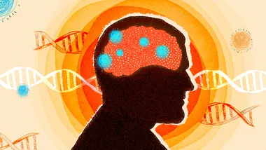 Зображення Knowable Magazine