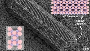 Зображення Sci.News