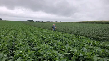 Зображення NYT