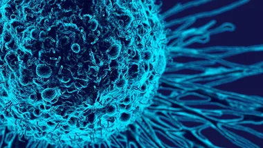 Зображення SciTechDaily