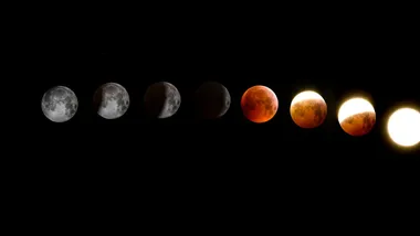 Фото Alex Andrews