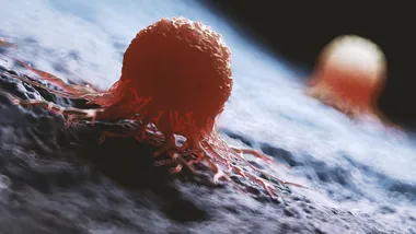 Зображення SciTechDaily