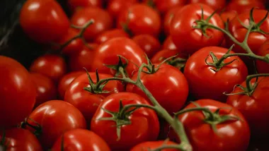 Фото Paul Steuber