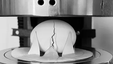 Зображення NYT