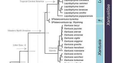 Зображення Phys