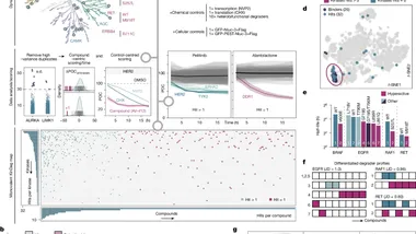 Зображення nature.com