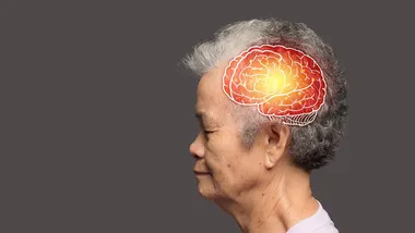 Зображення SciTechDaily