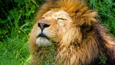 Ілюстративне зображення Pixabay