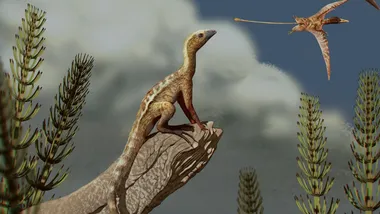 Зображення scitechdaily.com