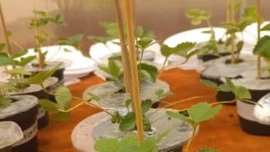 Зображення newswise.com