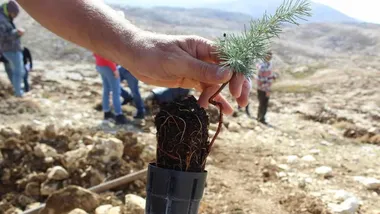 Зображення ZME Science