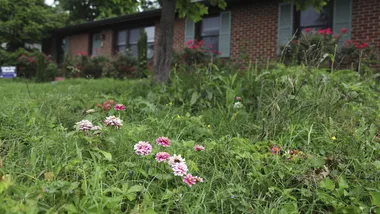 Зображення Phys