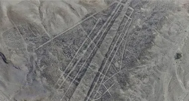 Нові лінії Наска