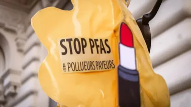 Франція першою в&nbsp;ЄС ухвалила закон про заборону &laquo;вічних хімікатів&raquo; PFAS