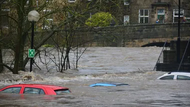 Зображення ZME Science