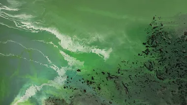 Ілюстративне зображення Freepik