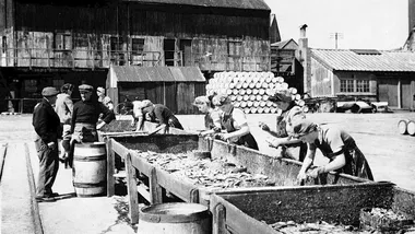 Зображення ZME Science