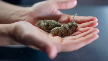 Зображення ZME Science