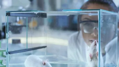 Зображення TS