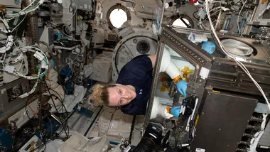 Зображення NASA