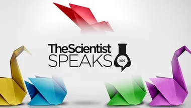 Зображення TS