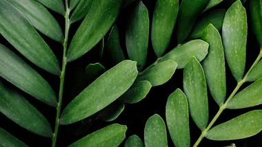 Зображення Freepik