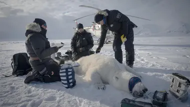 Зображення Yahoo