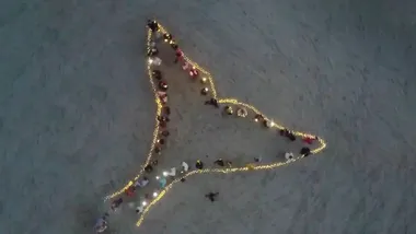 Зображення Watts Up With That？