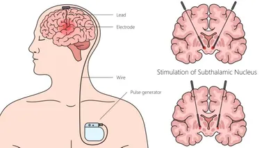 Зображення unsw.edu.au