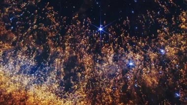 Зображення Sci.News