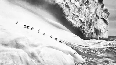 Зображення New Scientist