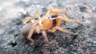 Зображення Dr Jeremy Wilson