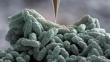 Фото надане University of Basel