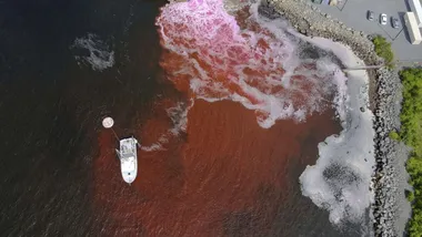 Зображення AP