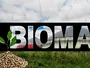 Спалювання біомаси виявилося не таким екологічним, як вважалося раніше