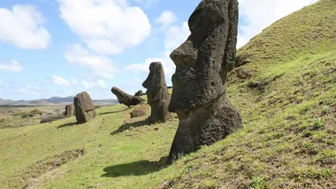 Зображення ZME Science