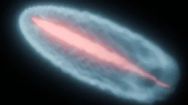 Зображення iflscience.com