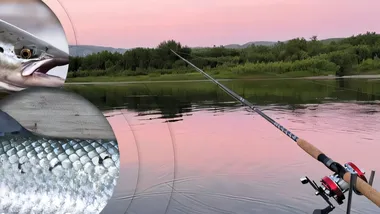 Зображення Phys