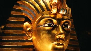 Зображення New Scientist