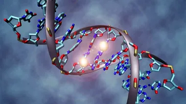 Зображення Sci.News