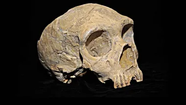 Зображення thedebrief.org