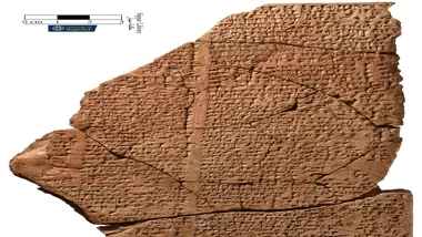 Зображення ZME Science