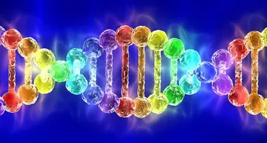 Генетичні варіанти сексуальної орієнтації